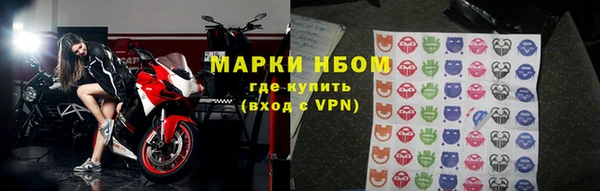 сатива Беломорск