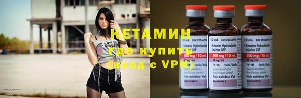 сатива Беломорск