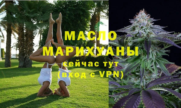 сатива Беломорск