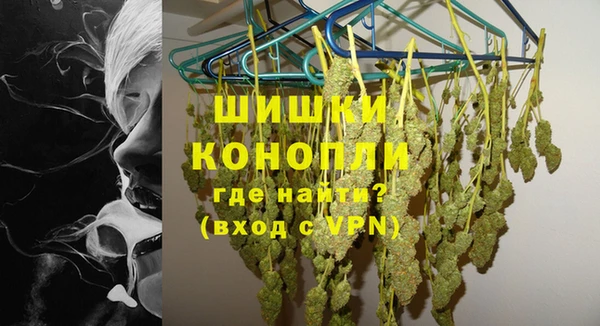 сатива Беломорск