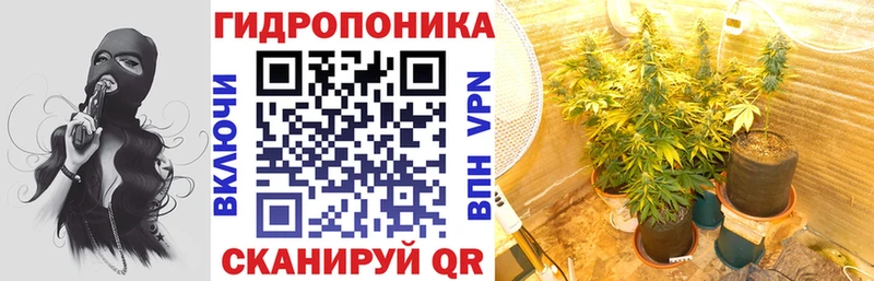 что такое наркотик  Кстово  Бошки марихуана Amnesia 